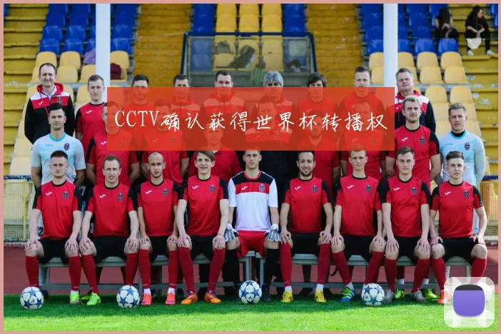 CCTV确认获得世界杯转播权
