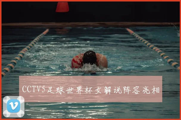 CCTV5足球世界杯女解说阵容亮相
