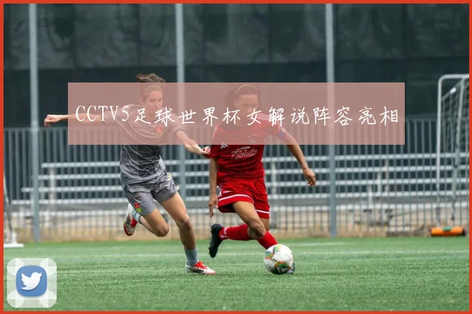 CCTV5足球世界杯女解说阵容亮相