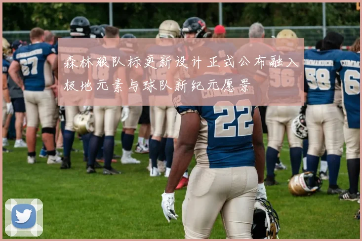 森林狼队标更新设计正式公布融入极地元素与球队新纪元愿景