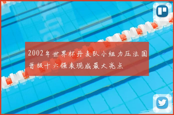 2002年世界杯丹麦队小组力压法国晋级十六强表现成最大亮点