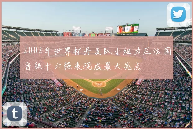 2002年世界杯丹麦队小组力压法国晋级十六强表现成最大亮点