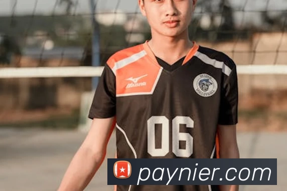 九游9官方入口服务体系